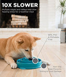 Outward Hound Feeder Mini Drop