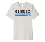 Great Vintage 1980s Style Geneseo Ny Men's T-Shirt Silver