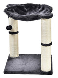 AmazonBasics Cat Scratching Post and Hammock